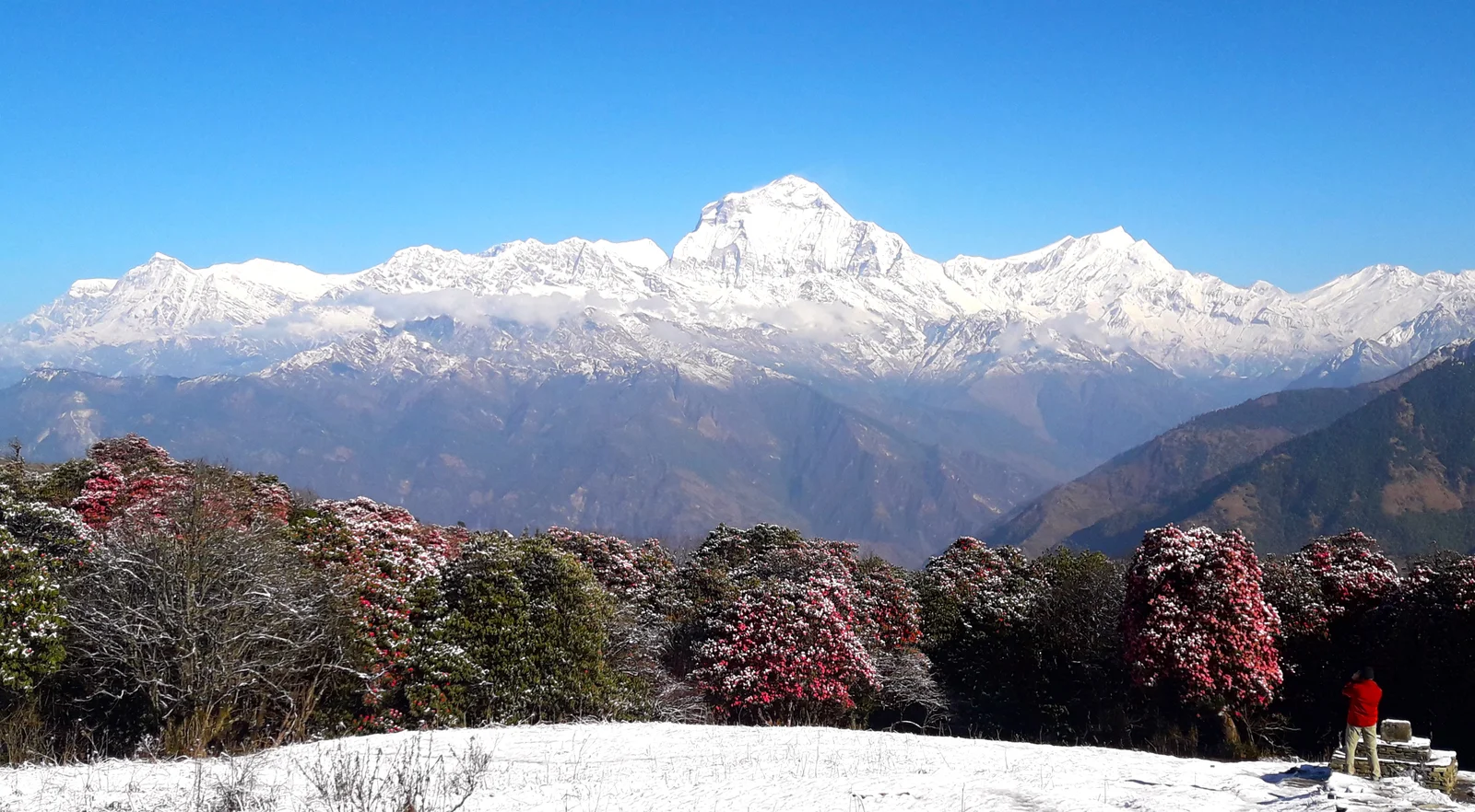 Ghorepani Poonhill: A Perfect Trek for Winter Season